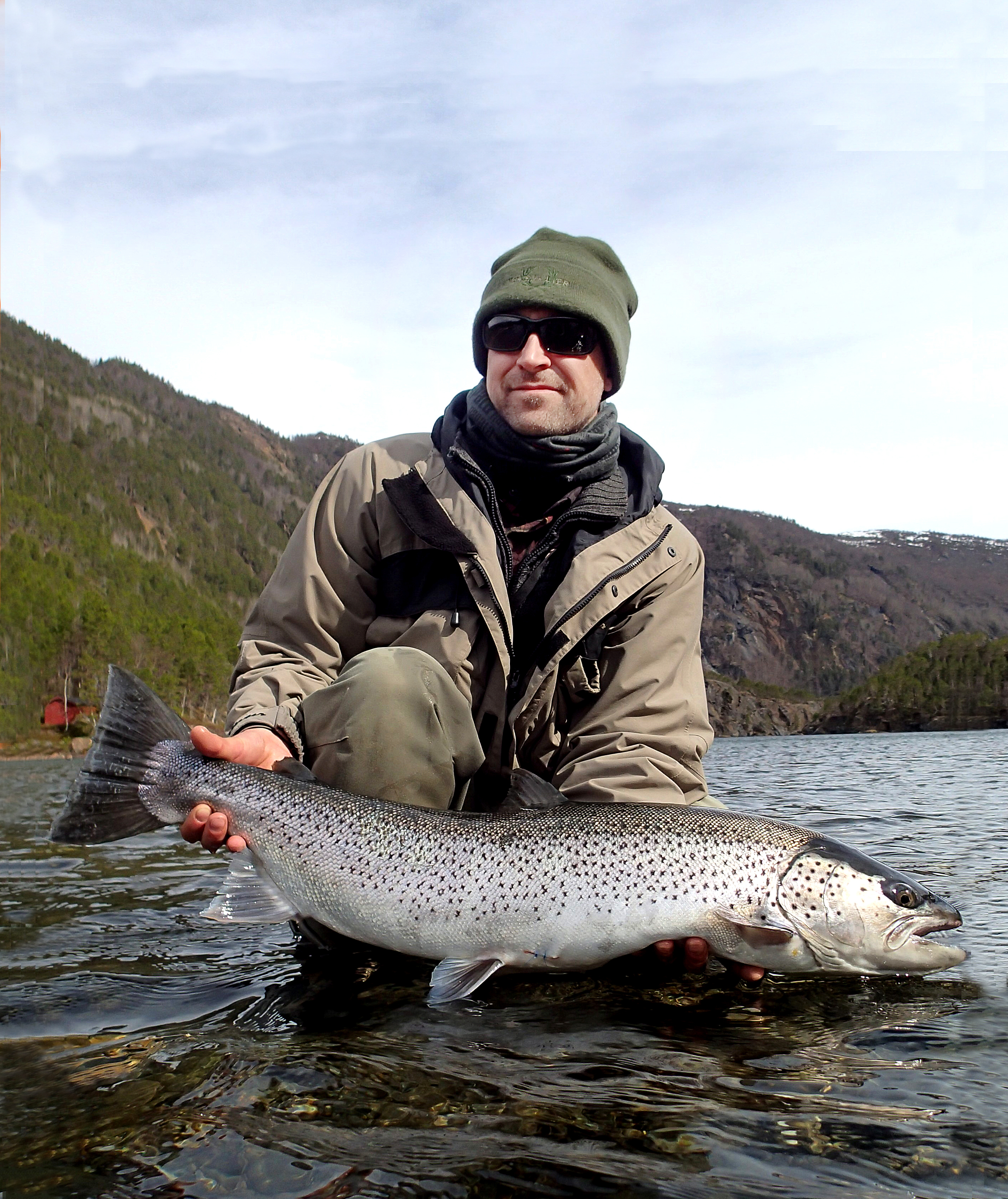 Sjøørret fra Skjerstadfjorden