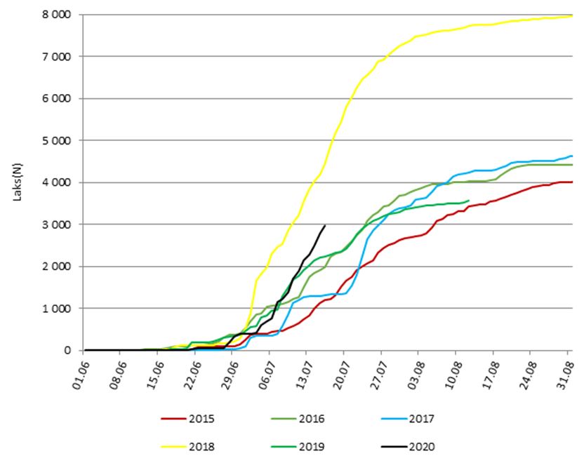 statistikk