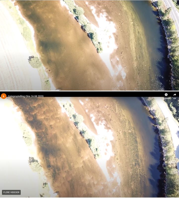 Gytegroper ved Stavsøyra i 2018(øverst) og 2020(nederst)