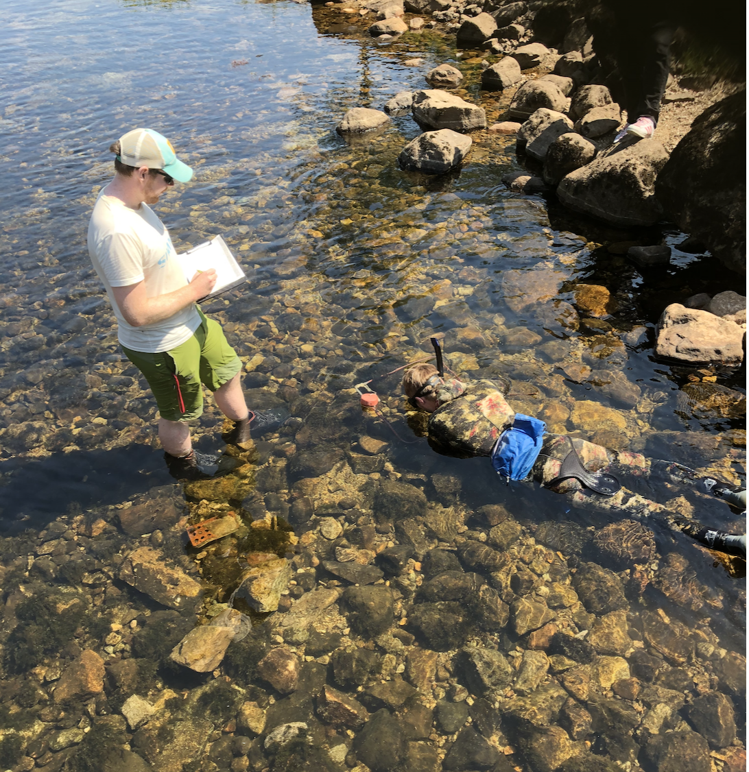 Hellelandselva. Habitatkartlegging