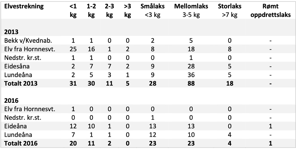 Tabell over talte fisker 2013 - 2016
