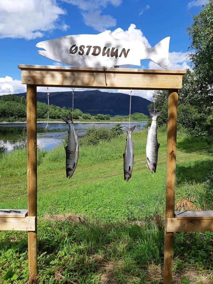Namsen_østduun_laks_landstad