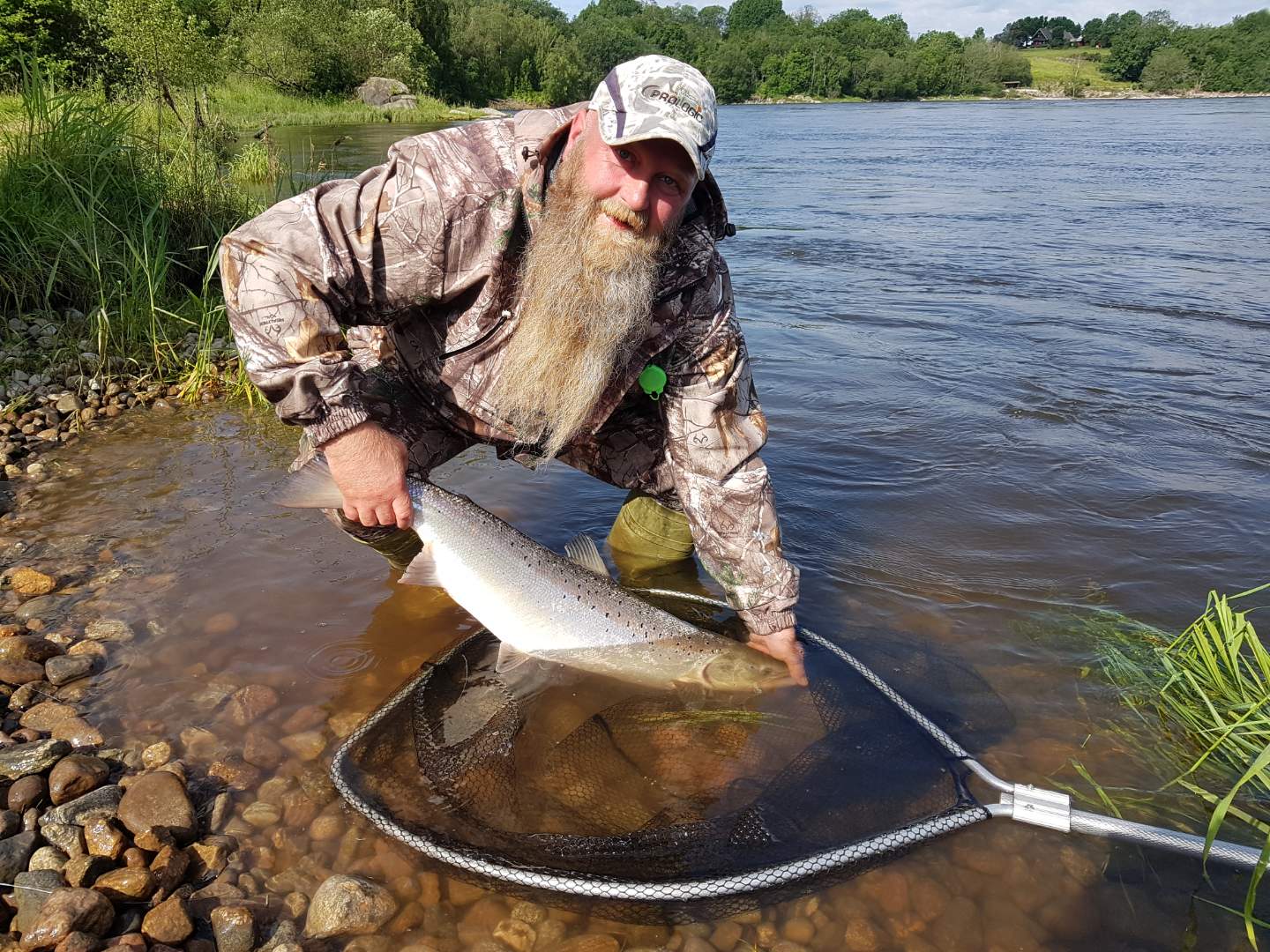 Flott laks fra klekkeriet