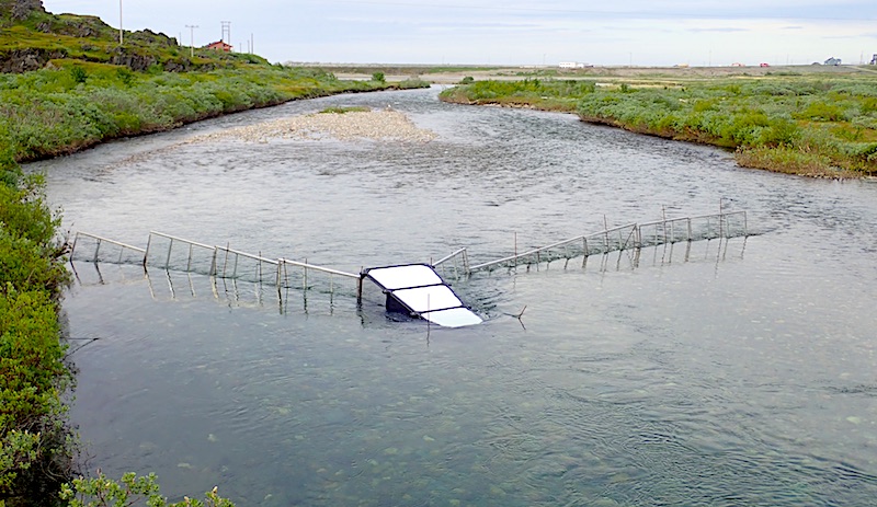 Pilotprosjekt i Storelva