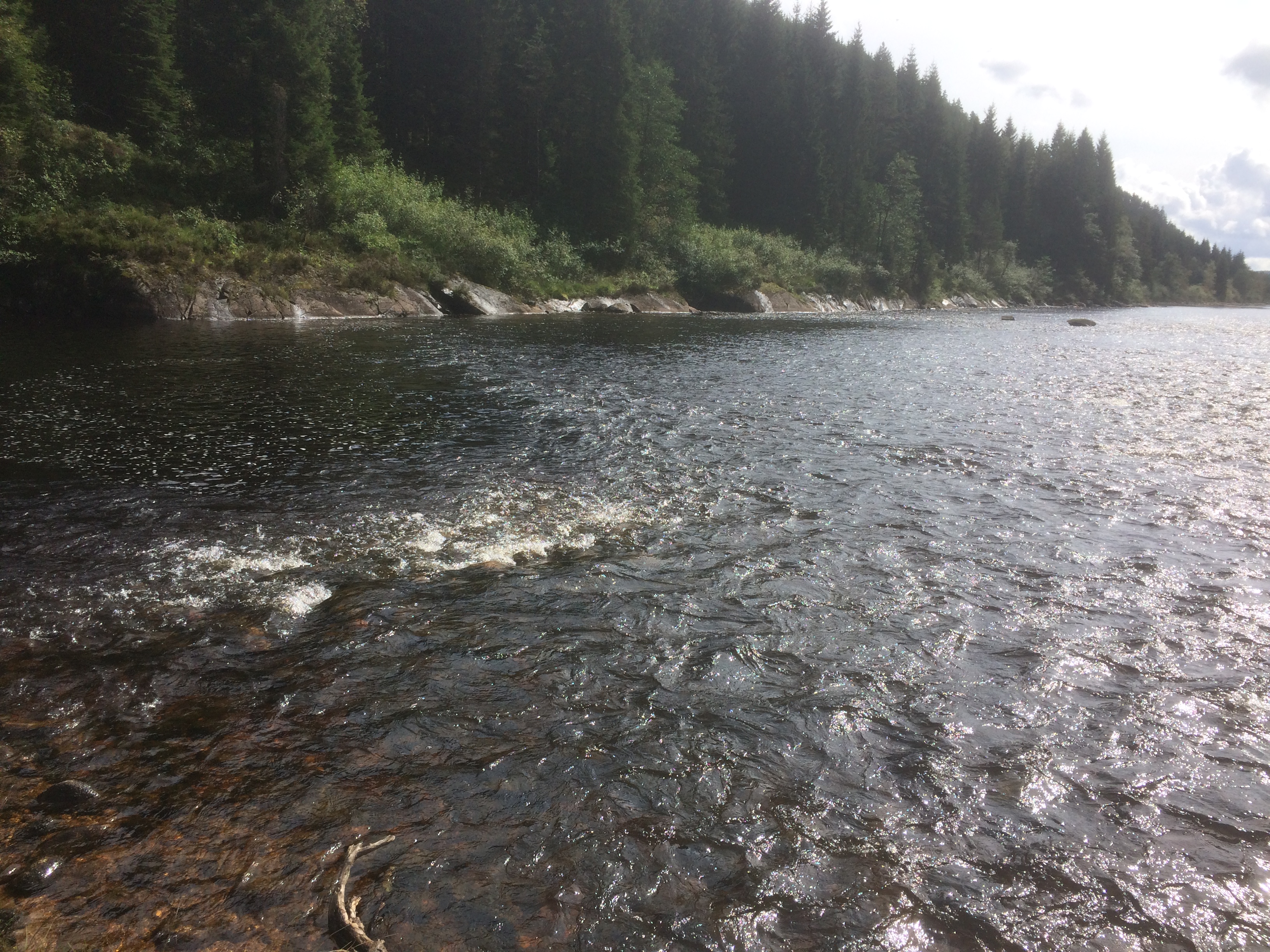 Mandalselva Bjåhylen midtre