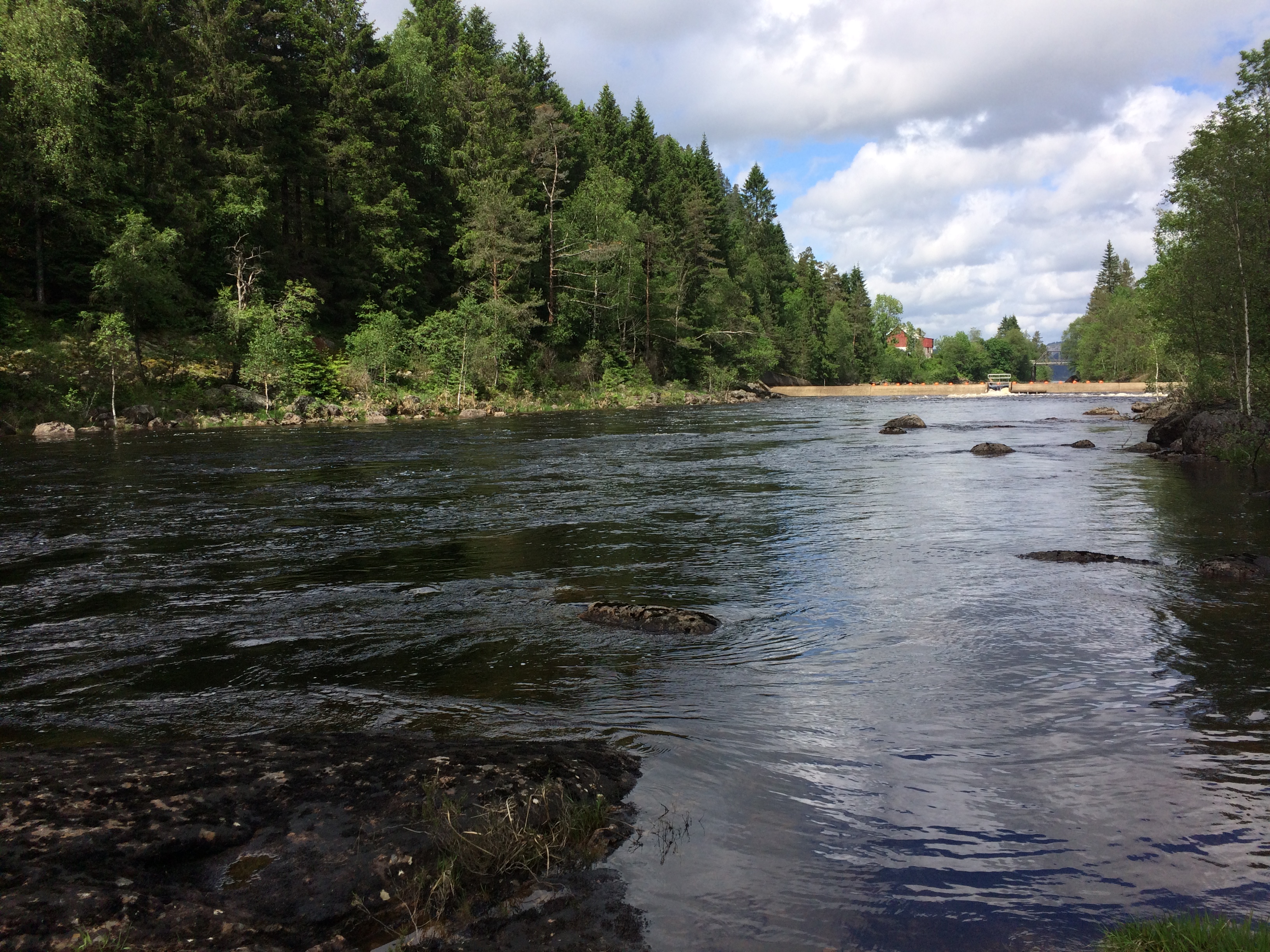 Mandalselva Laksehylen øvre 1