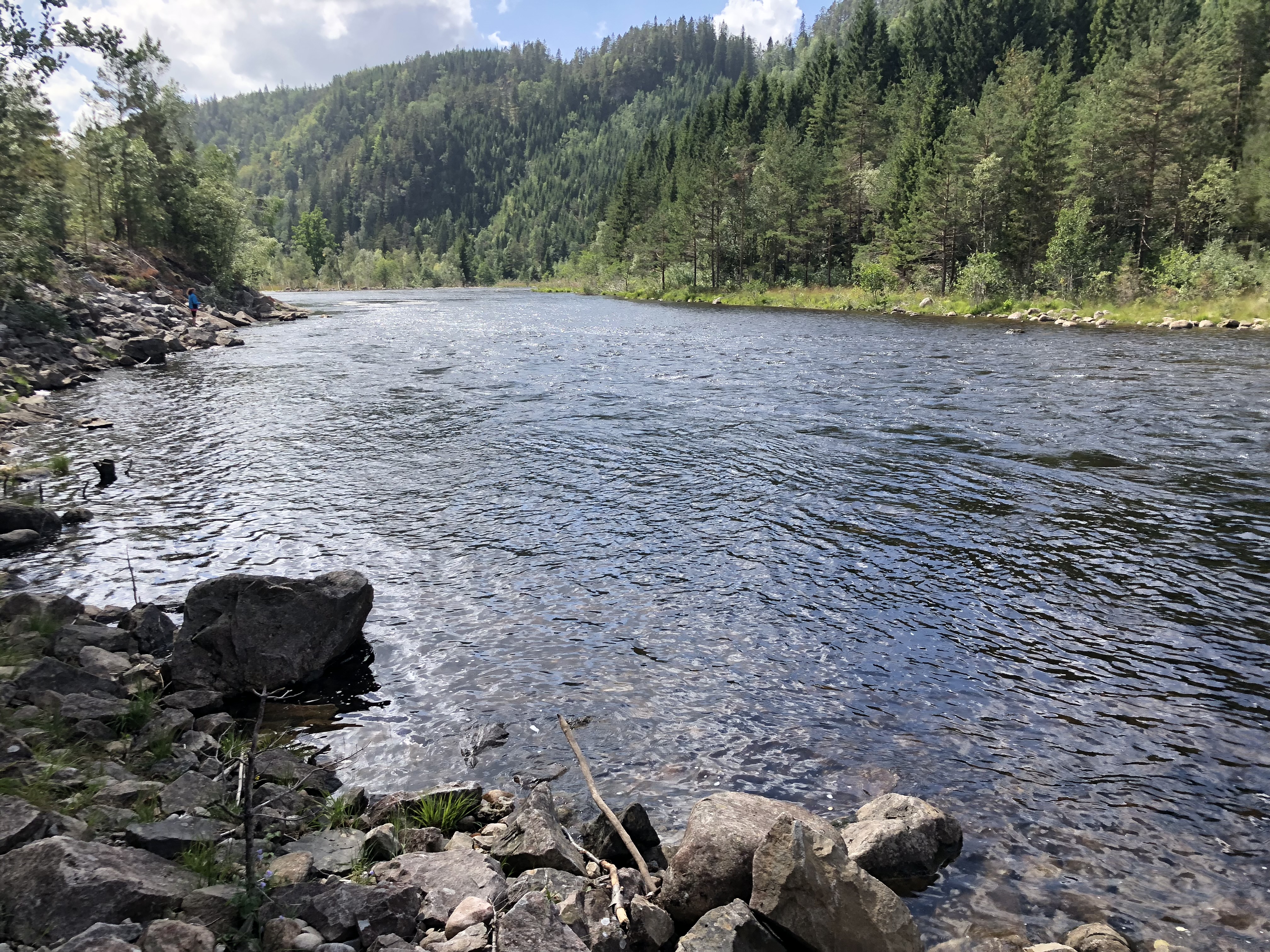 Mandalselva Laksehylen midtre del.