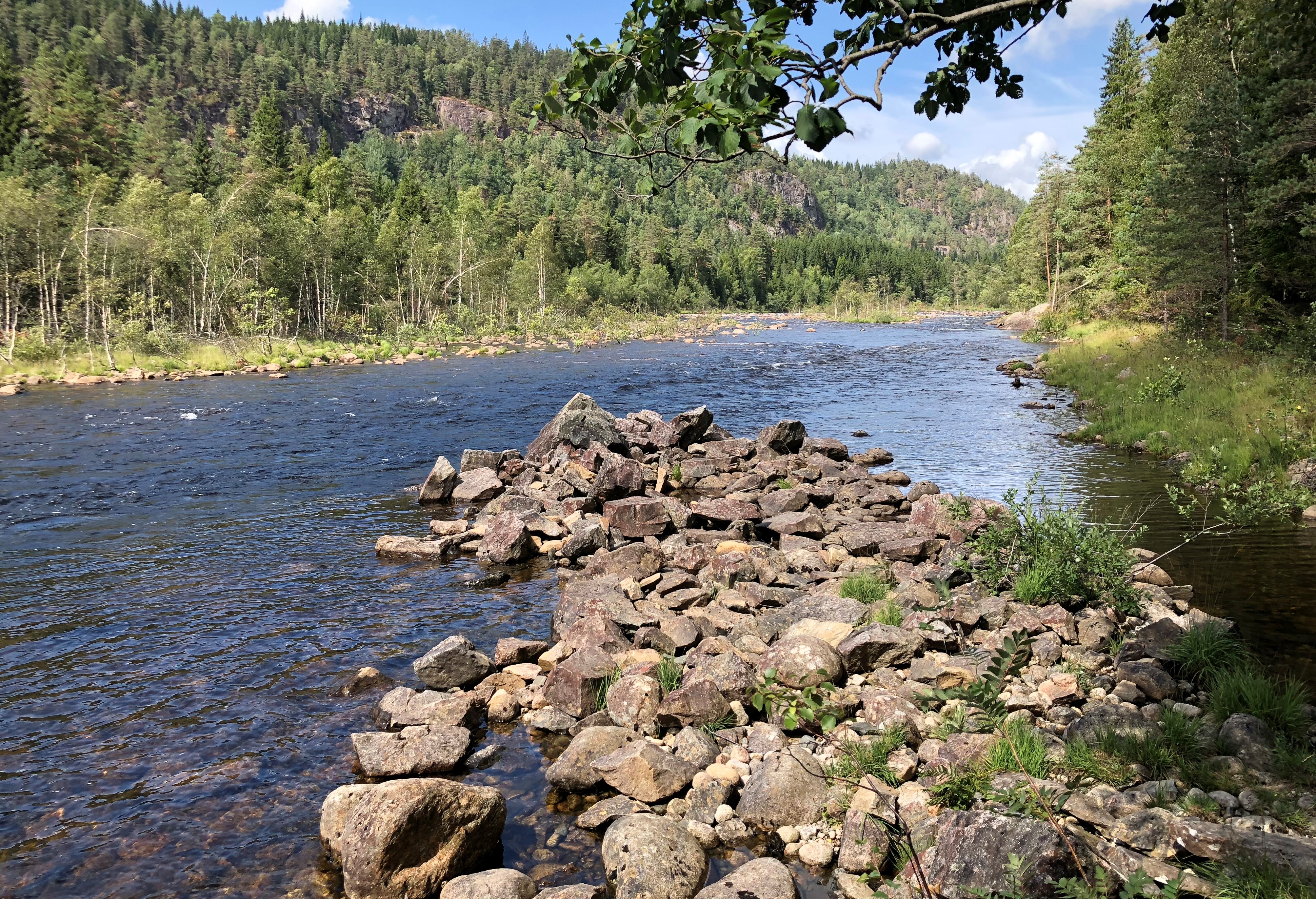 Mandalselva Laksehylen midtre del