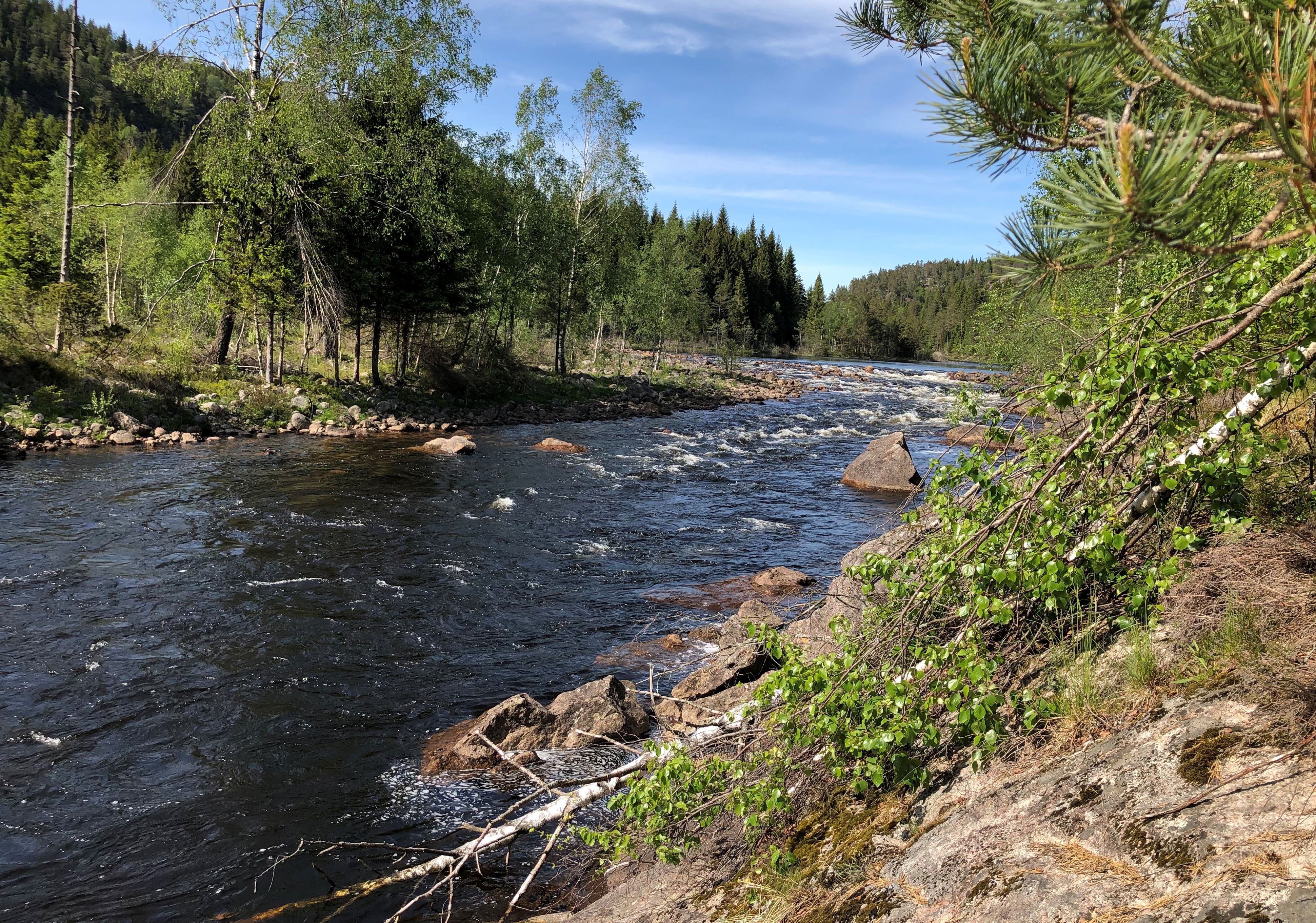 Mandalselva Laksehylen nedre