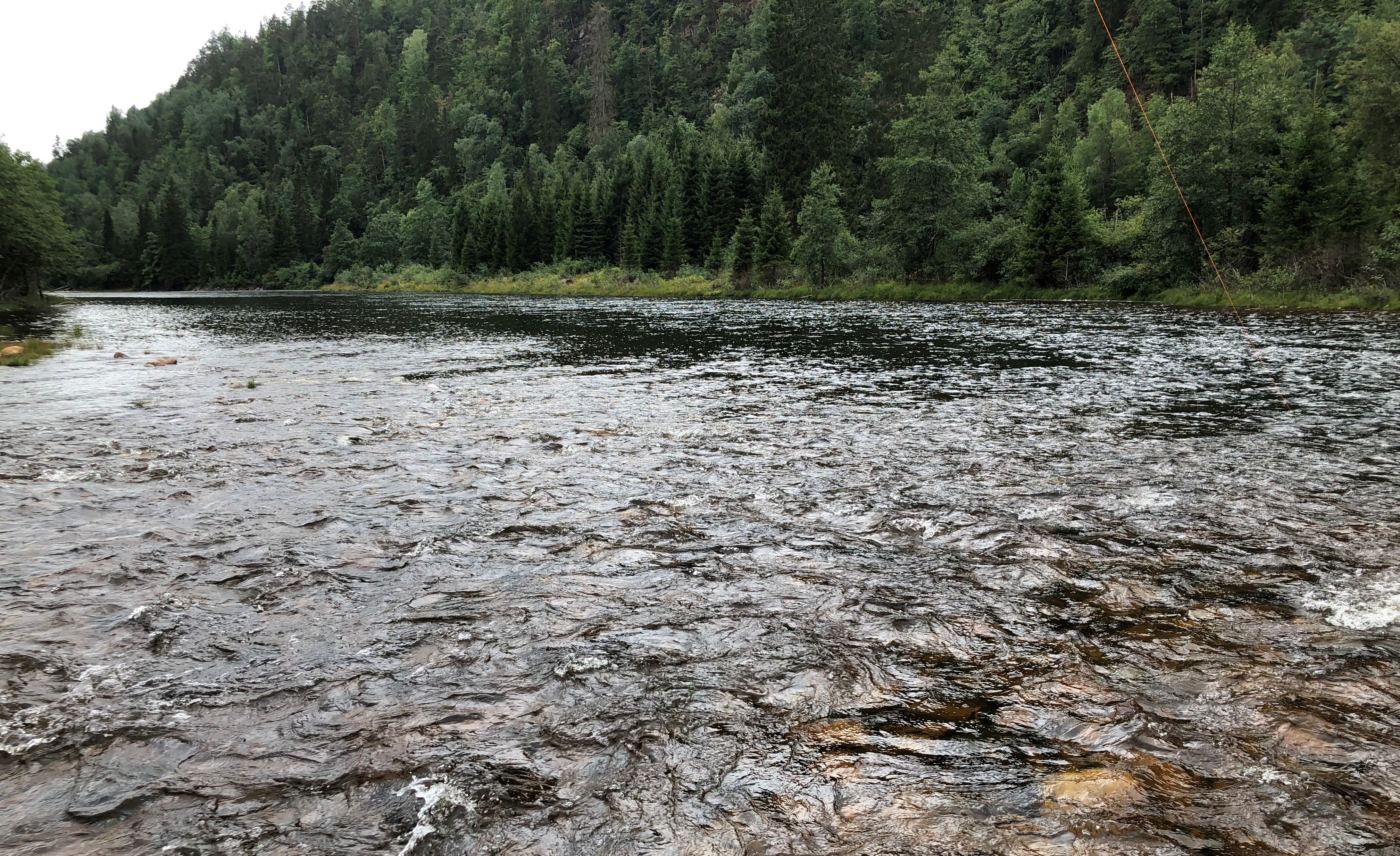 Mandalselva Nodehylen midtre