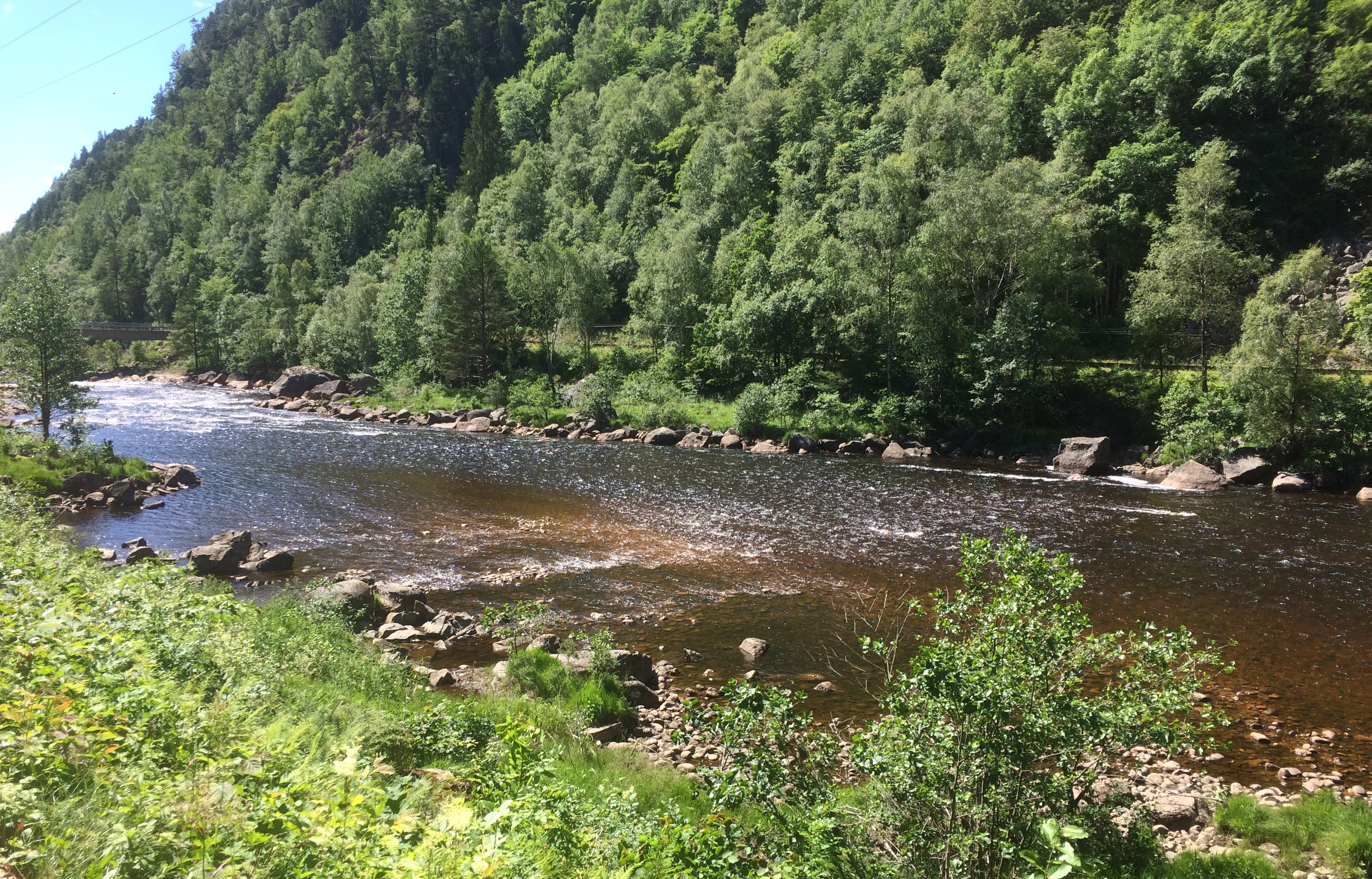 Mandalselva Steinshylen nedre