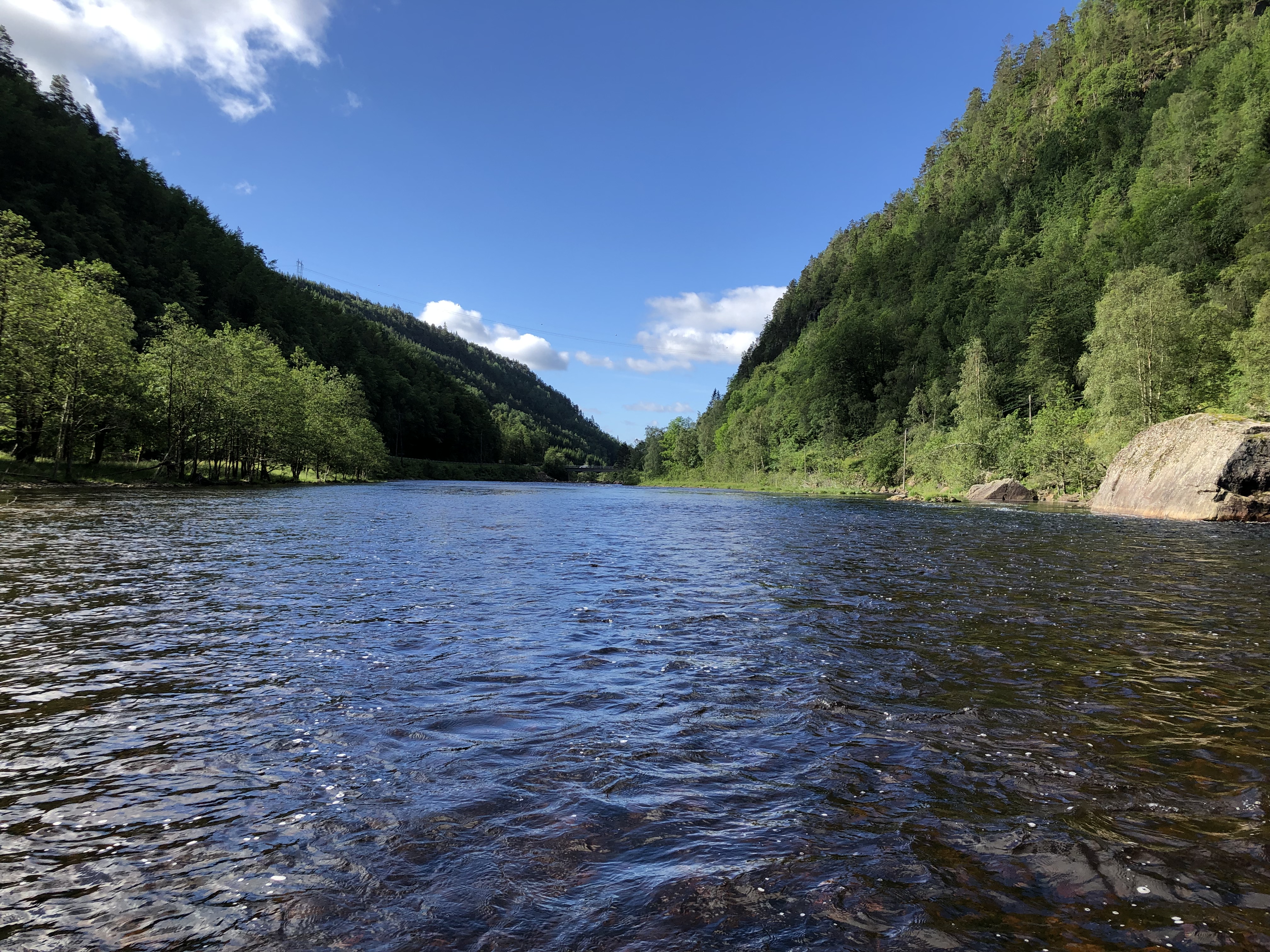 Mandalselva Steinshylen