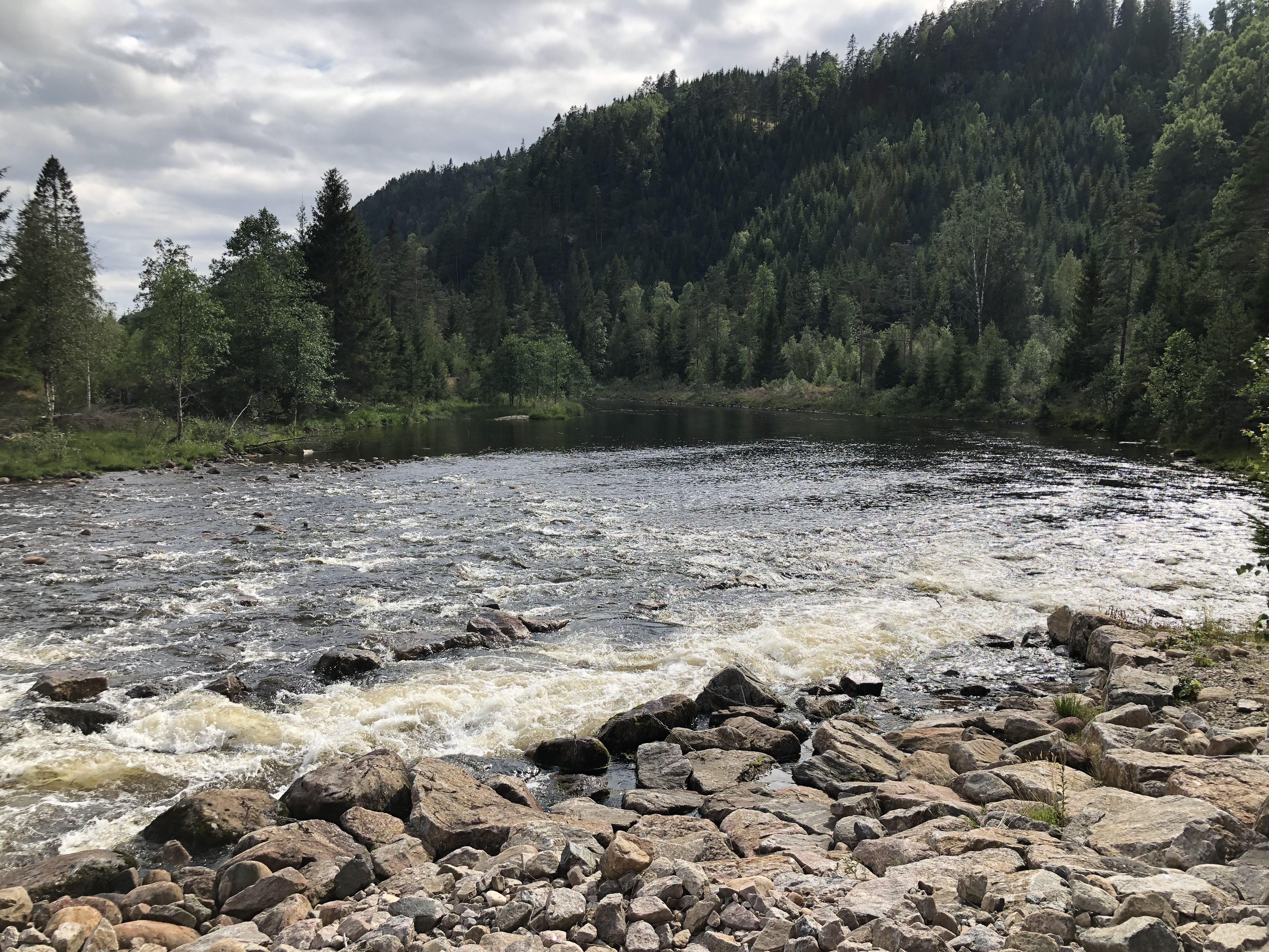 Mandalselva Strædethylen nedre