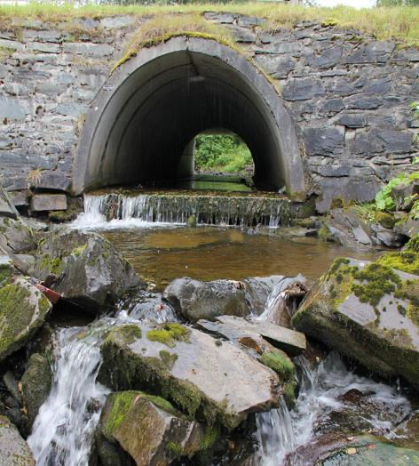 Eksisterende vandringshinder