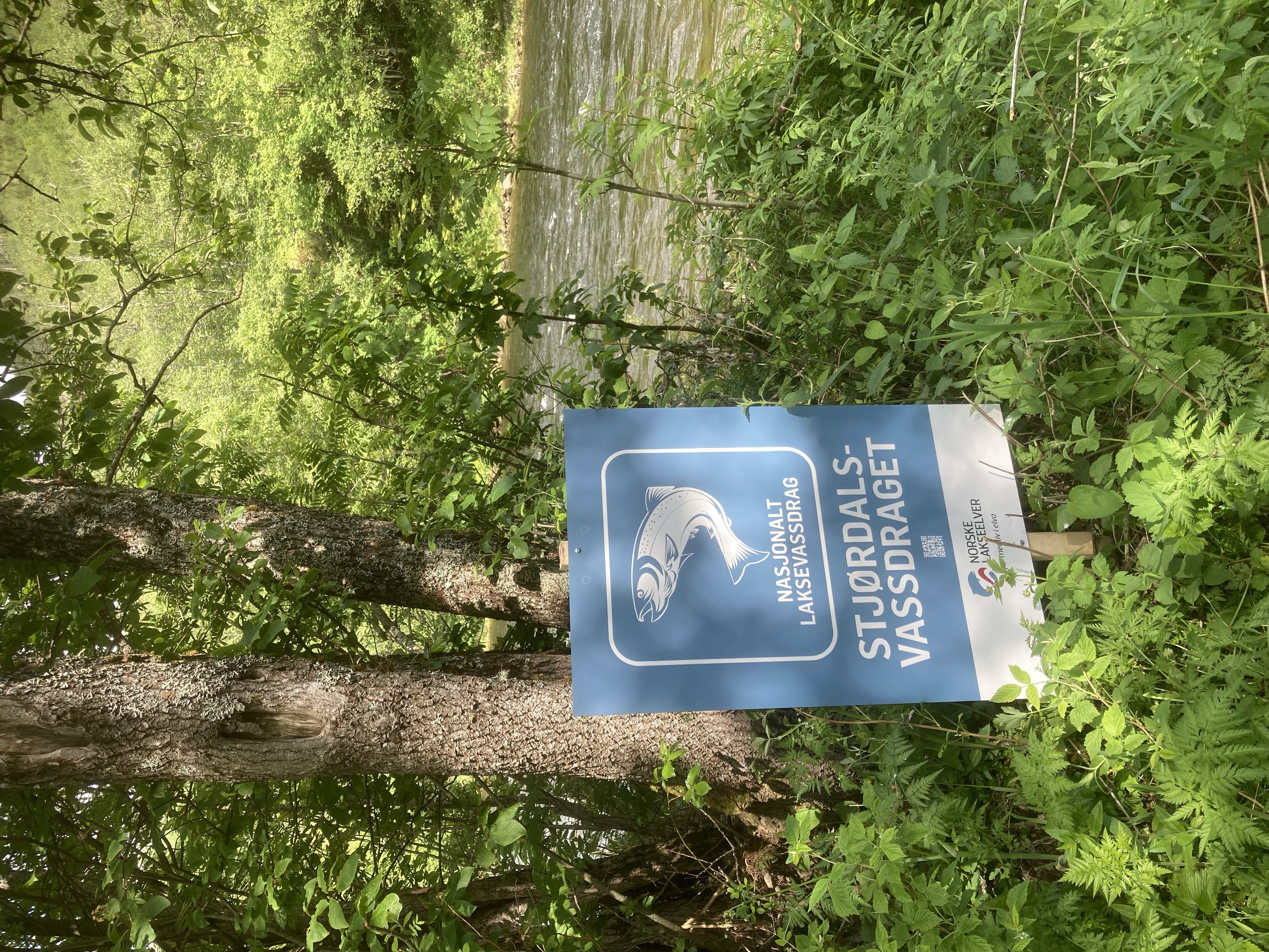 SVEL_2022_Plakat Narsjonalt laksevassdrag