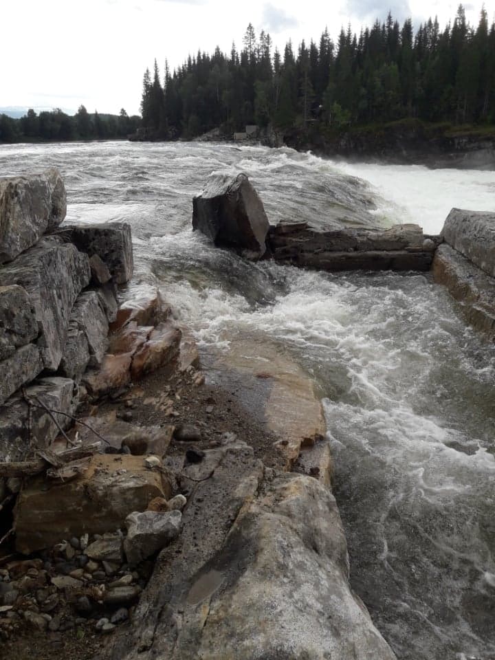 Åpning av Fellingfors laksetrapp 16.08.22