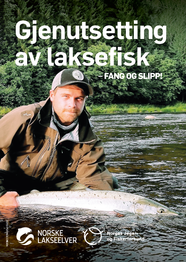 Brosjyre for gjenutsetting av laksefisk