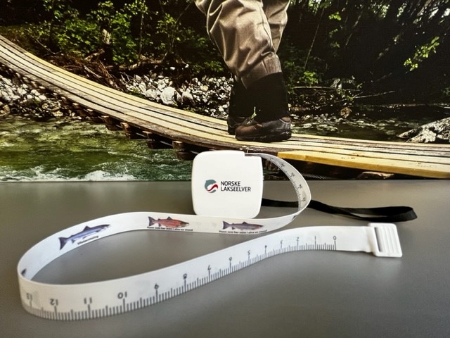 Målebånd med vektskala og gjenkjenning av laksefisk til gjenutsetting.