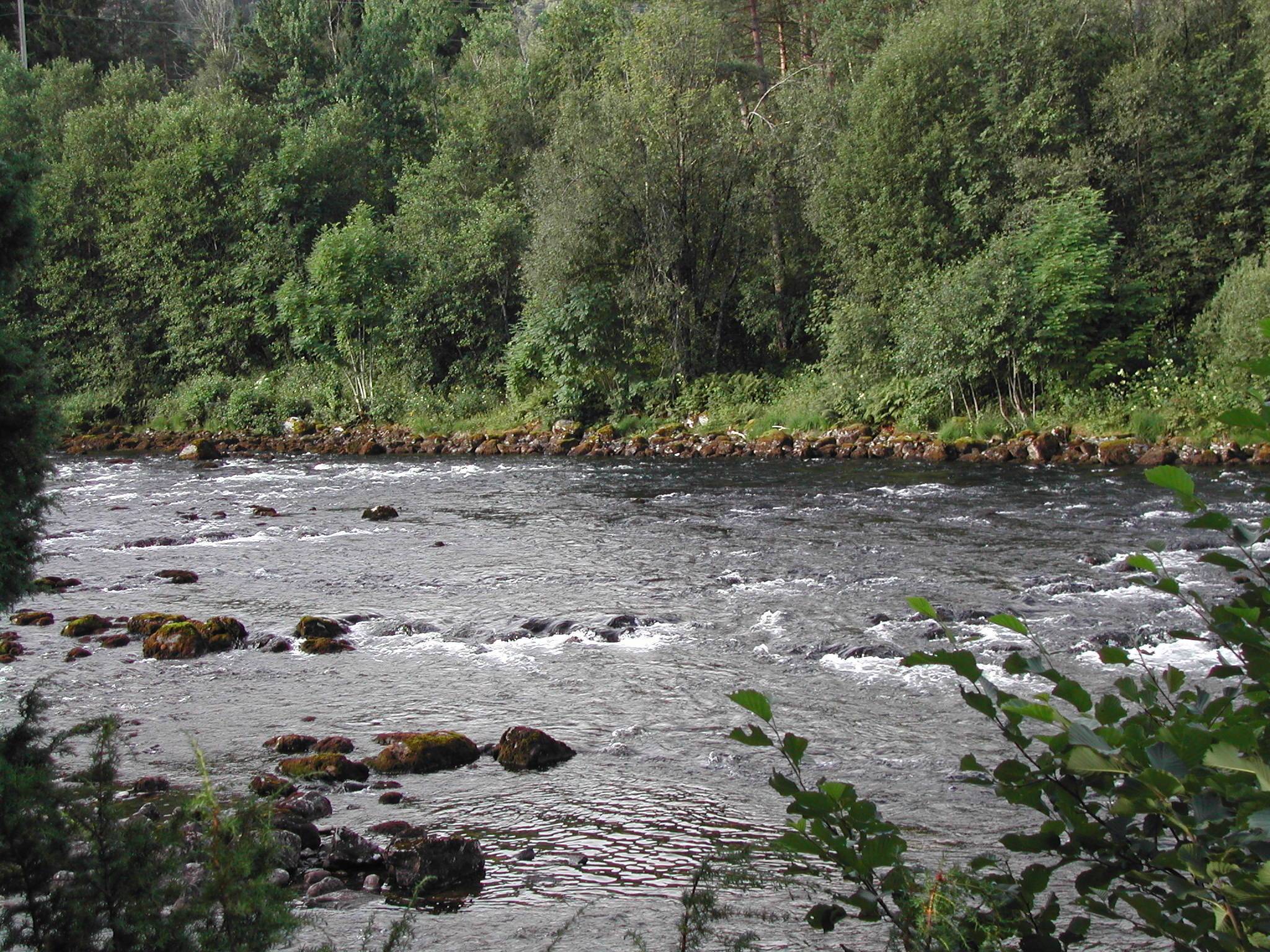 Khrusjtsjov, Moen, Eidselva