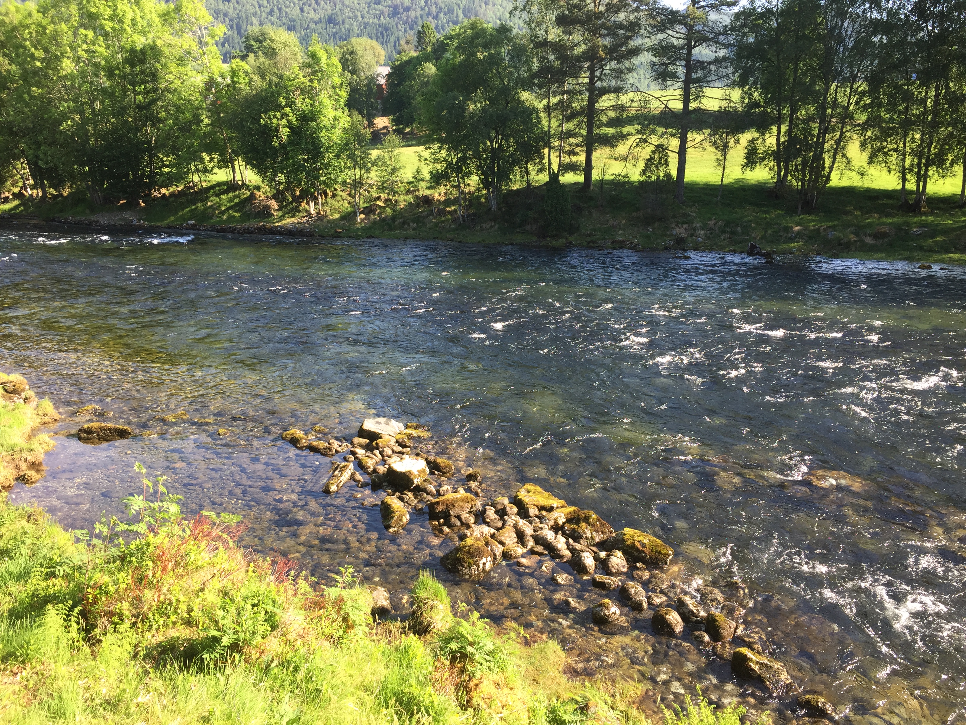 Moahølen, Kvien, Eidselva