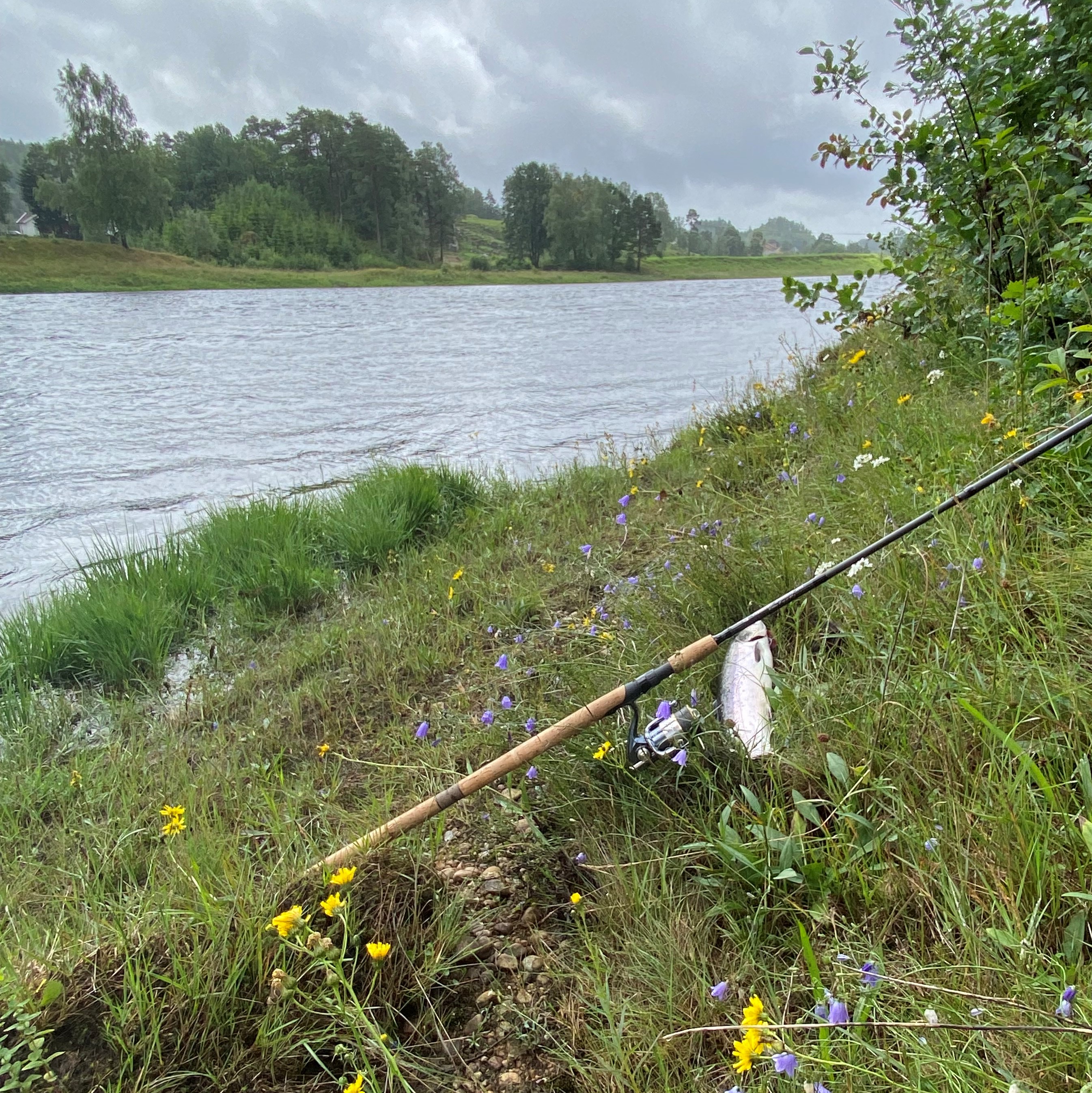 Fiskemuligheter Smeland