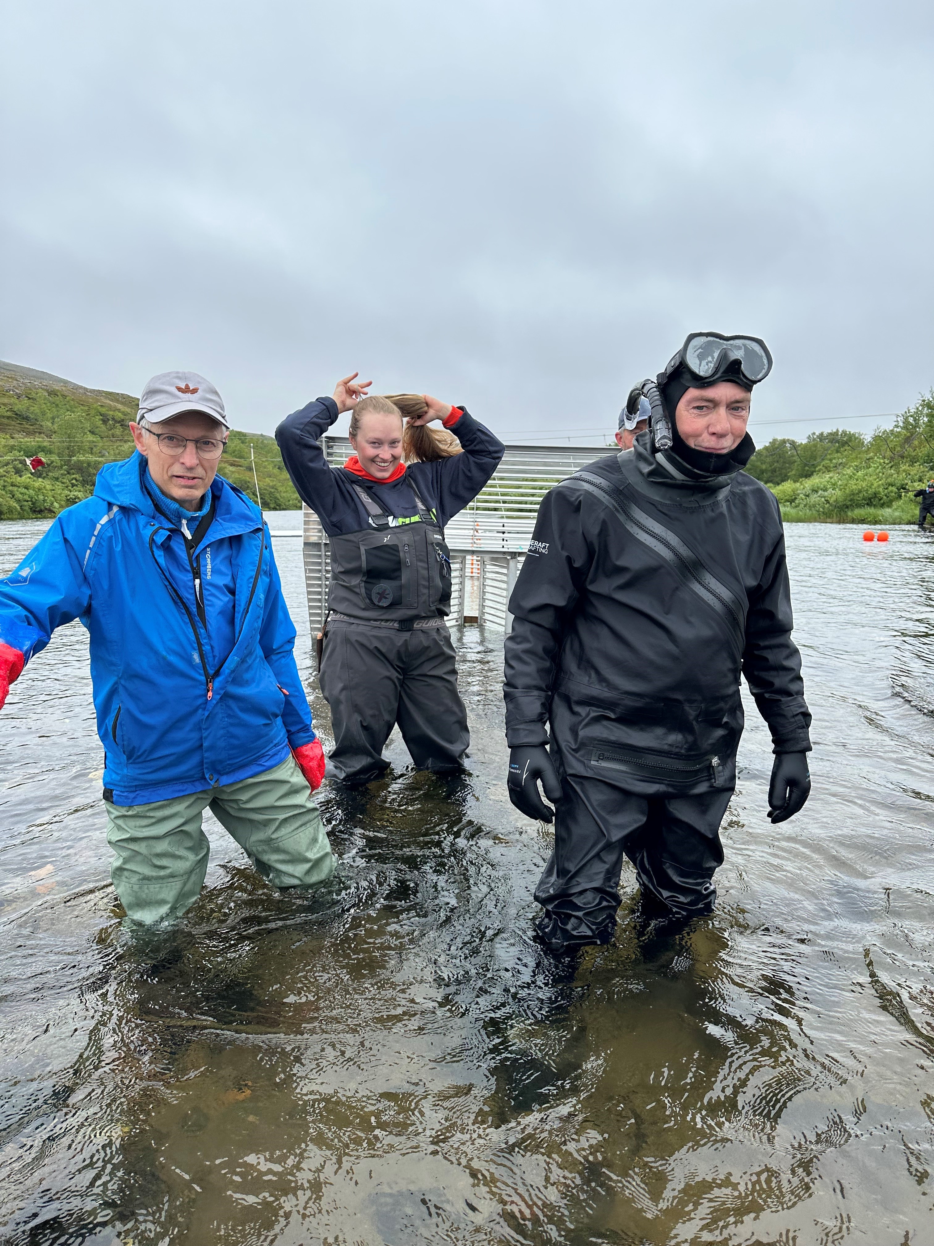Pukkellaksfelle i Kongsfjord