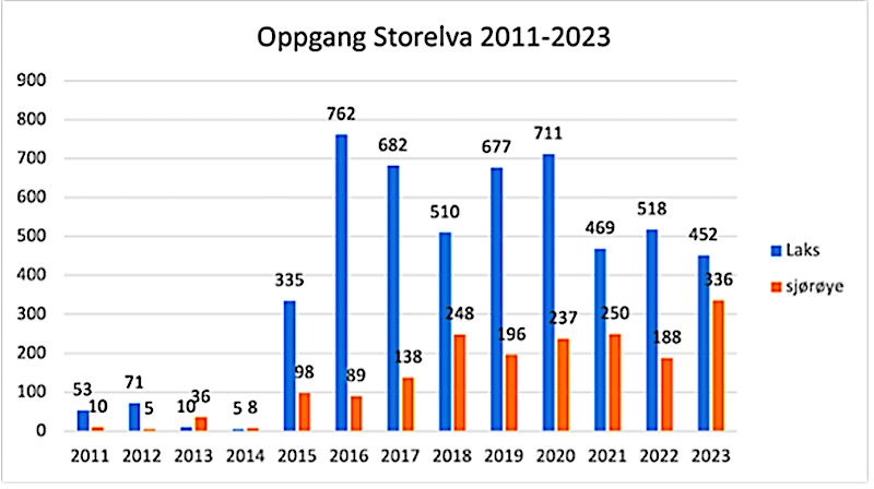 Oppgang Storelva