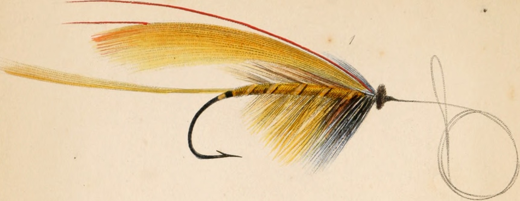 Klassisk lakseflue Klassisk lakseflue