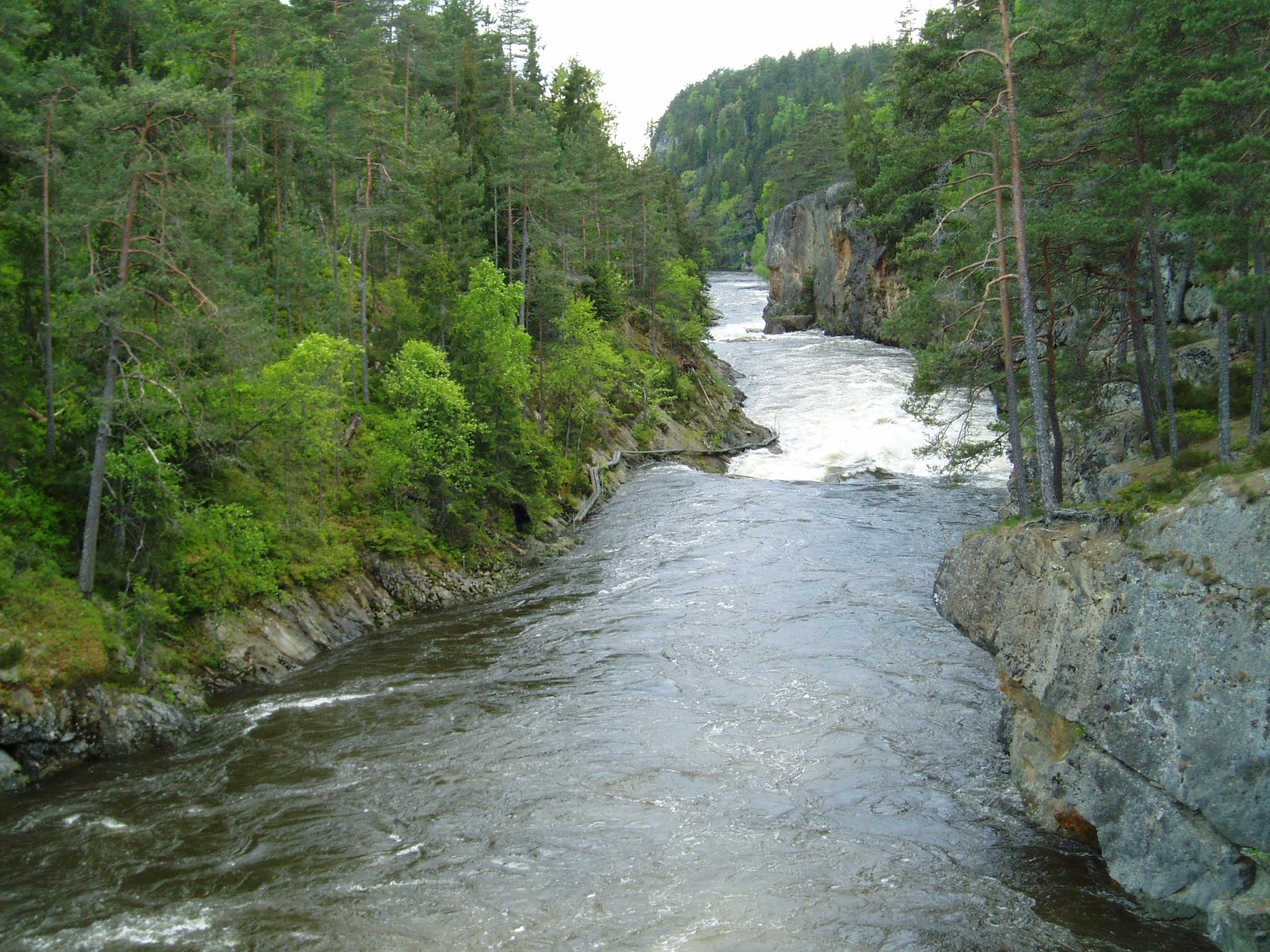 Aagaardselva Aagaardselva