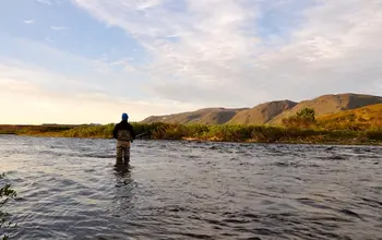 Kongsfjrdelva, rettigheter