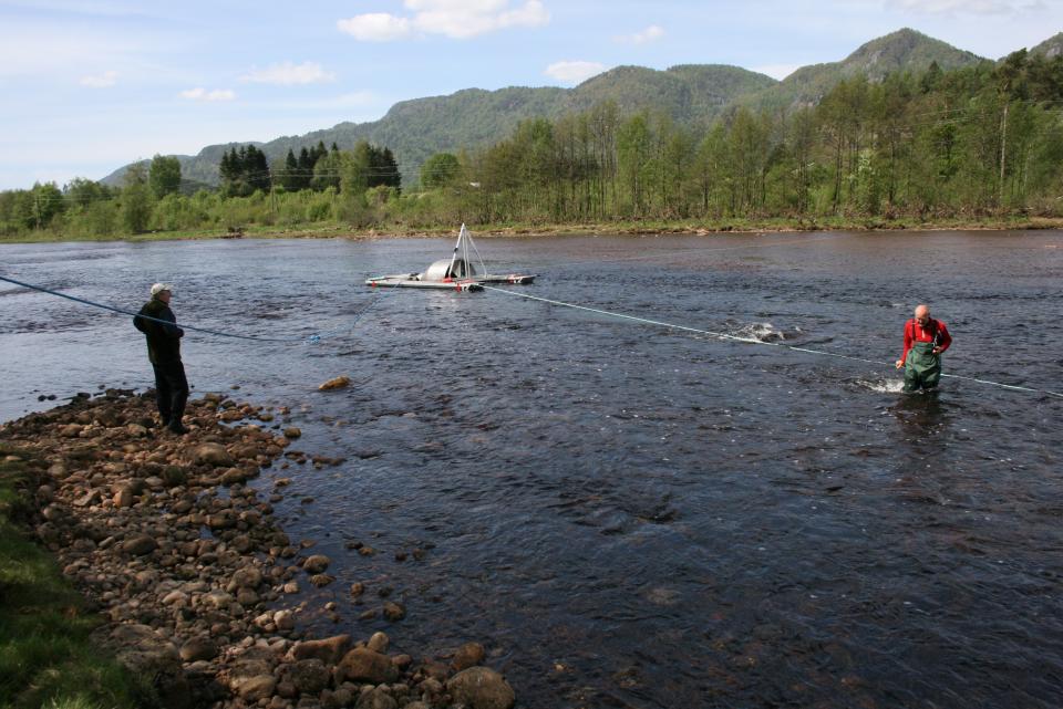 Etablering av smoltfelle ved Klosterøya. Det er gjennomført betydelig FoU i Kvina. Kartlegging av smoltutgang er et viktig grunnlag for design av tiltak. På bilde Randulf Øysæd i Kvinesdal jeger- og fiskeforening (på land) og Tor Kviljo i Terrateknikk. 