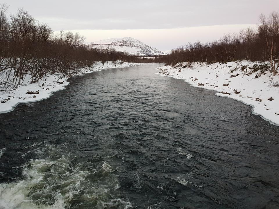 Nedenfor hengebrua ser det sånn ut. Det er utrolig hvor annerledes elva er på så lite vann.