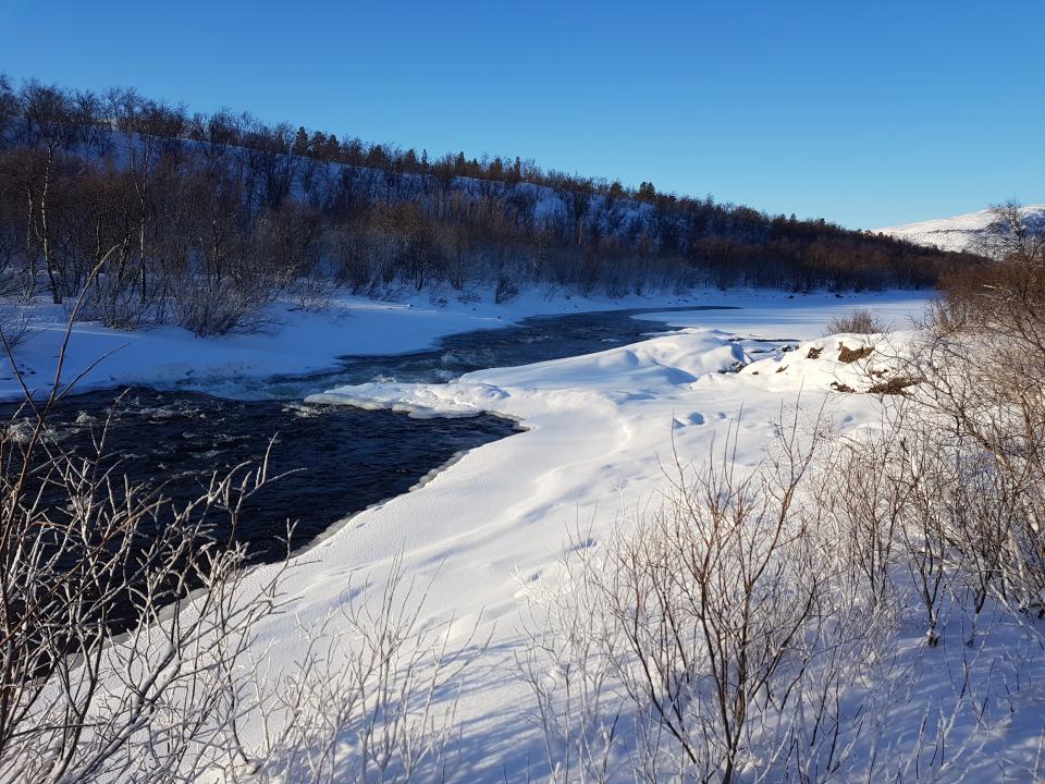 Kobbefossen. Frostrøyken fra elva legger seg som et hvitt lag med rim på trærne langs elva her oppe.