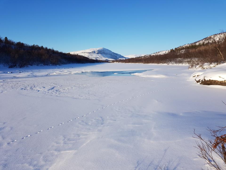  Utsikt nedover mot Flatsteinen og Lombola.
