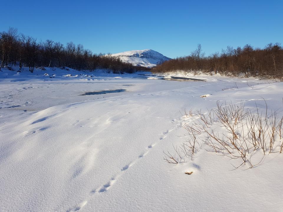  Utsikt nedover mot Flatsteinen og Lombola.