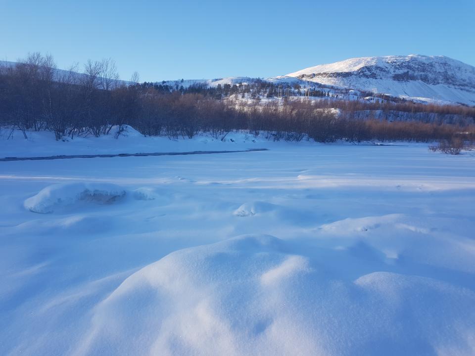 Uojoensuu (med dugg på linsa).