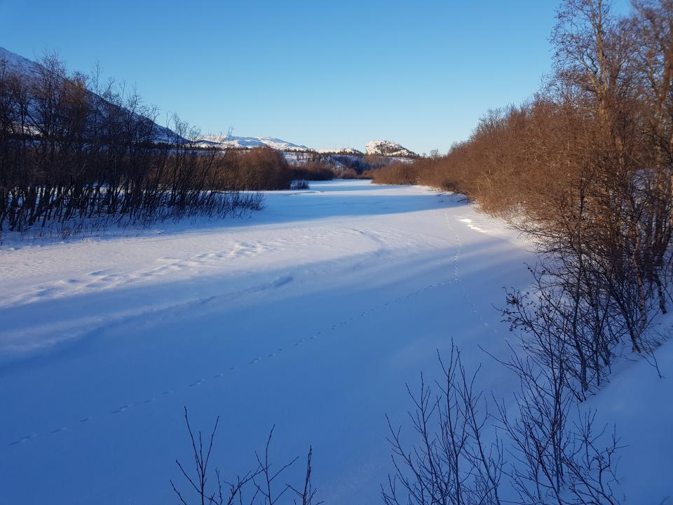 Utsikt nedover mot Kairanen. Selve Kairanen er fullstendig islagt.