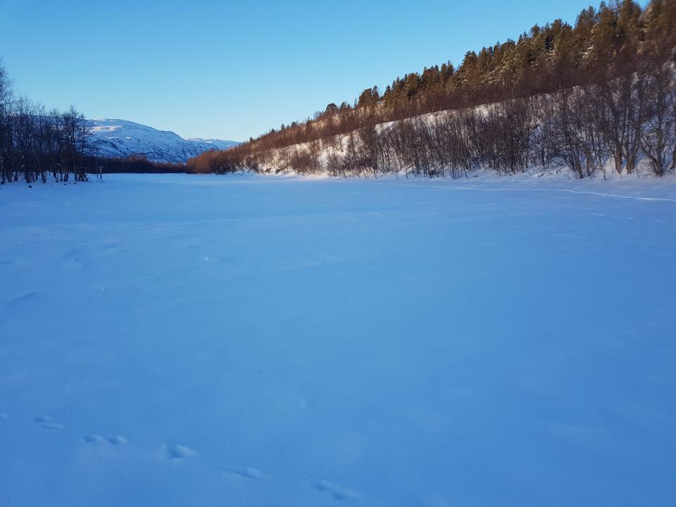 Og avslutningsvis Outasuanto.