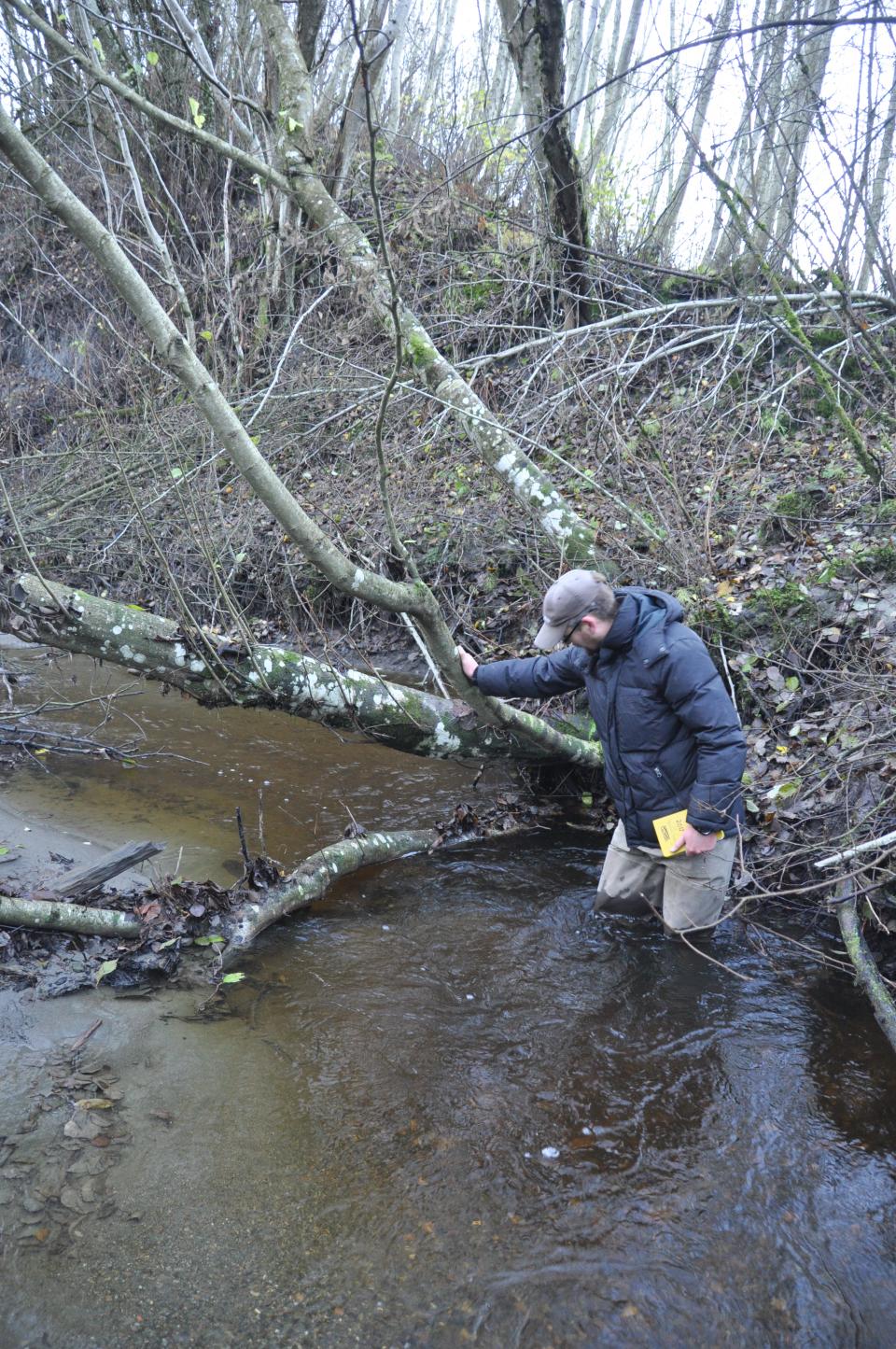 Stokker, kvist, kvas og lauv i bekken er veldig viktig for fisken. Det er med og danner kulper, gyteområder, skjul og mat. Dybde er viktig for større fisk og som overvintringsområder for ungfisk.