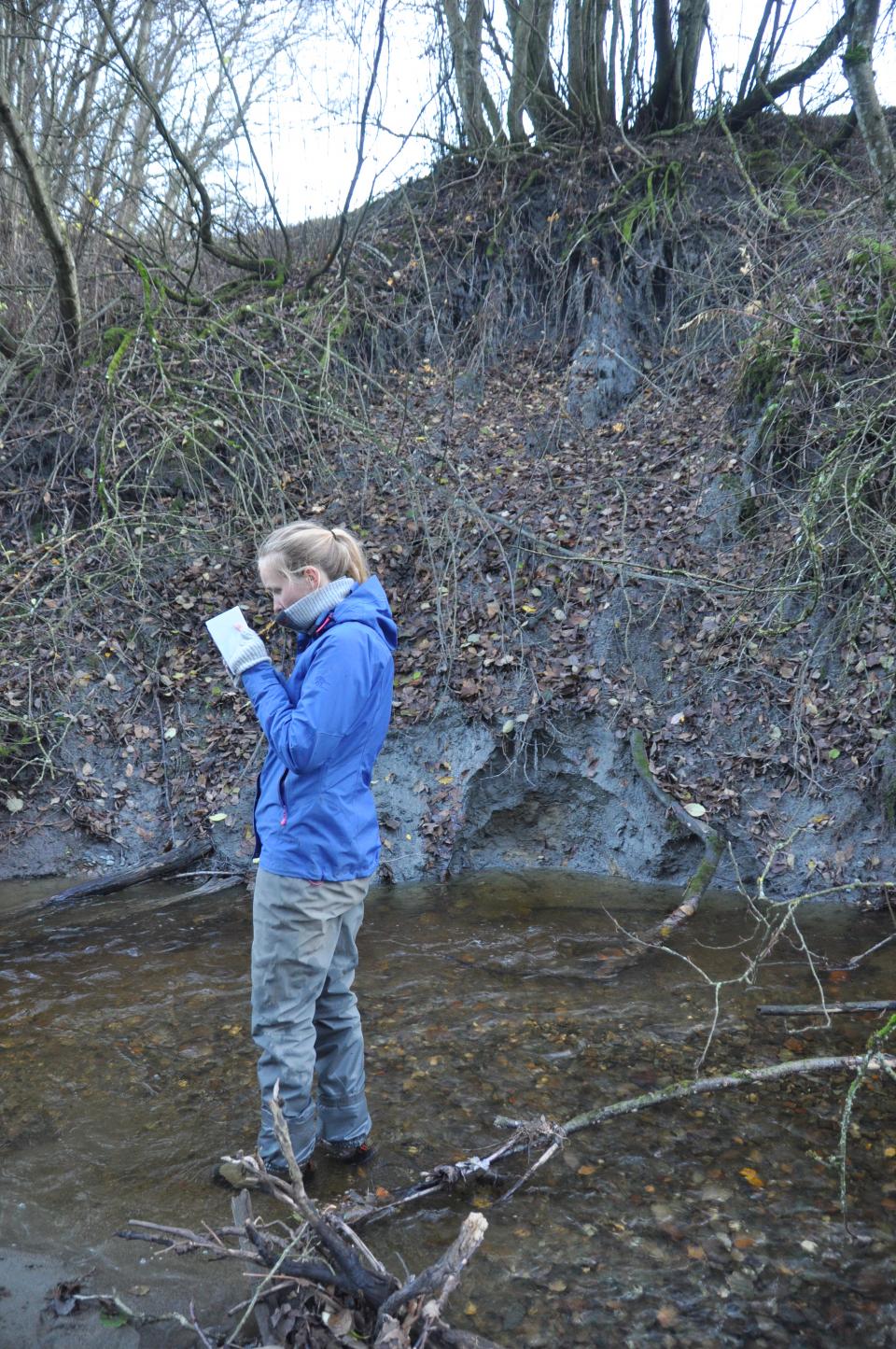 Leire og silt i dagen gir gråfarge i bekken. Er det ikke for mye går det bra. Blir det for mye slammes gyteområder igjen og silt/sand legger seg mellom gytegrusen og hindrer vanngjennomstrømming og oksygen til rogna som ligger begravd i grusen.