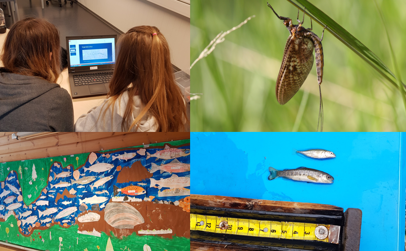 Tverrfaglig undervisning