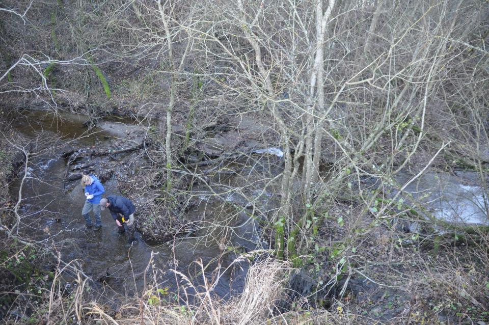 En bekk som meandrerer/svinger, byr på gode og varierte leveområder for fisken. Dessuten blir bekken nesten «dobbelt så lang» sammenlignet med om den ble kanalisert (slik praksis var før) og gikk som en rett strek. Kanalisering gir i tillegg til tapt areal også kvalitetsmessig dårligere leveområder for fisken. Altså en dobbel negativ effekt.