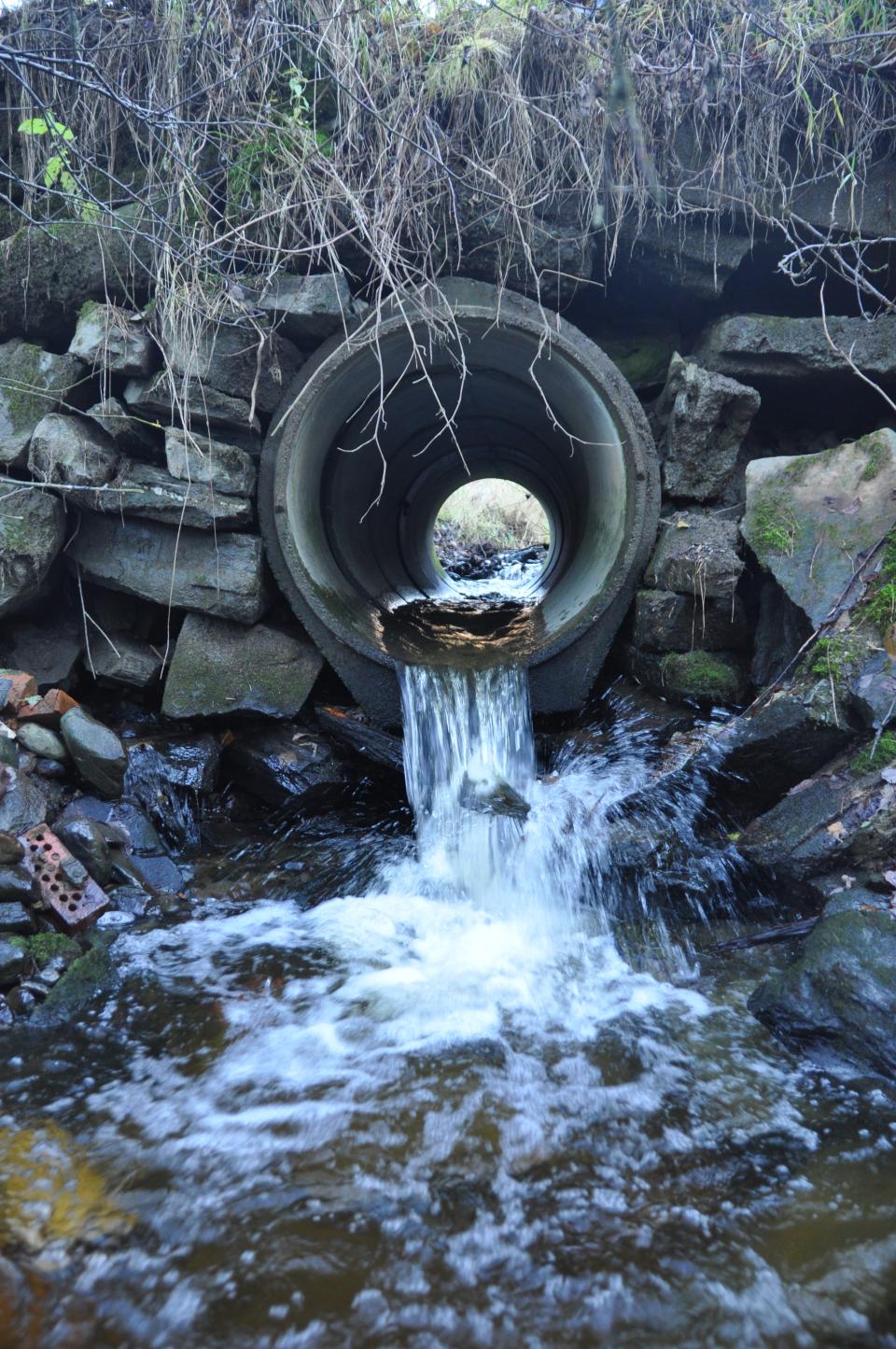 Denne kulverten oppe ved Sundbygården er problematisk. Passerer fisken? Alle kulverter må sjekkes, da de oftest er anlagt uten tanke på at fisken skal forbi.