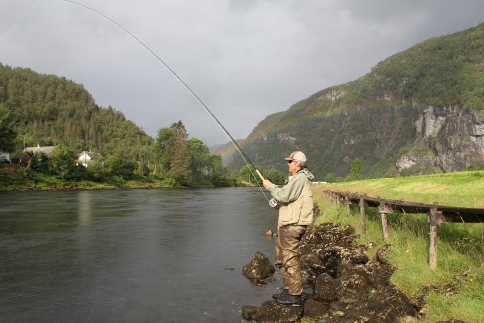 Fast fisk i Bolstadelva i Hordaland. Laksestammen i elva er i ferd med å ta seg opp igjen etter stor innsats fra lokal forvaltning.