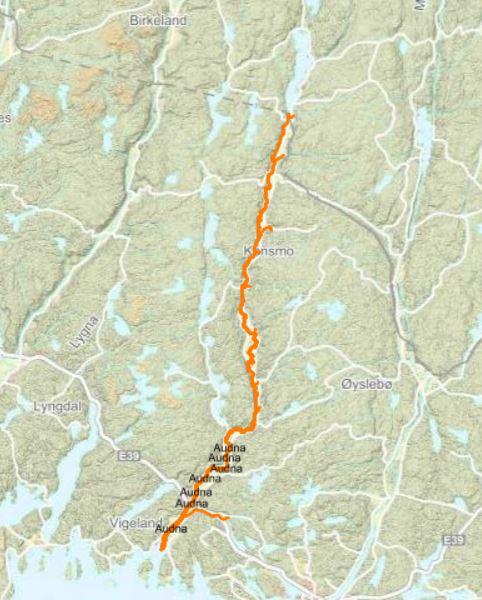 Bildet viser anadromt strekk i Audna. Data hentet fra Miljødirektoratet.