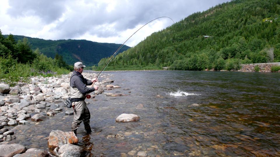 Det er de store og kjente elvene som fortsatt trekker flest laksefiskere. Her fra Guala. Foto: Øysten Aas
