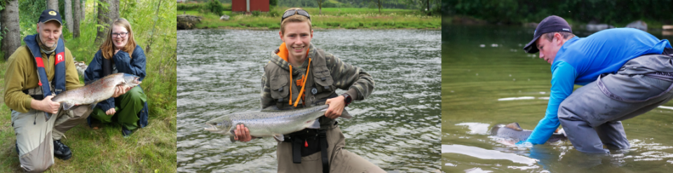 Fangstbilder fra Lågen, Gaula og Lakselv. Glade fiskere!