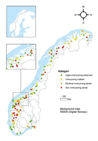 Genetisk innkrysning av rømt oppdrettslaks i norske villaksbestander. Klassifisering gjort av NINA og Havforskningsinstituttet.