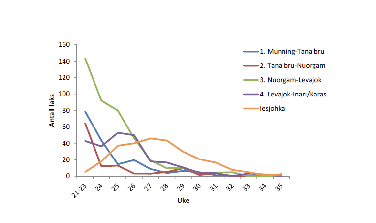 Figur 6. Eksempel på fangstmønster for én bestand i Tana. I dette tilfellet Iešjohka, en av de tidligvandrende bestandene. Eksempelet viser fangst i ulike soner av selve Tanaelva og fangst i selve Iešjohka.
