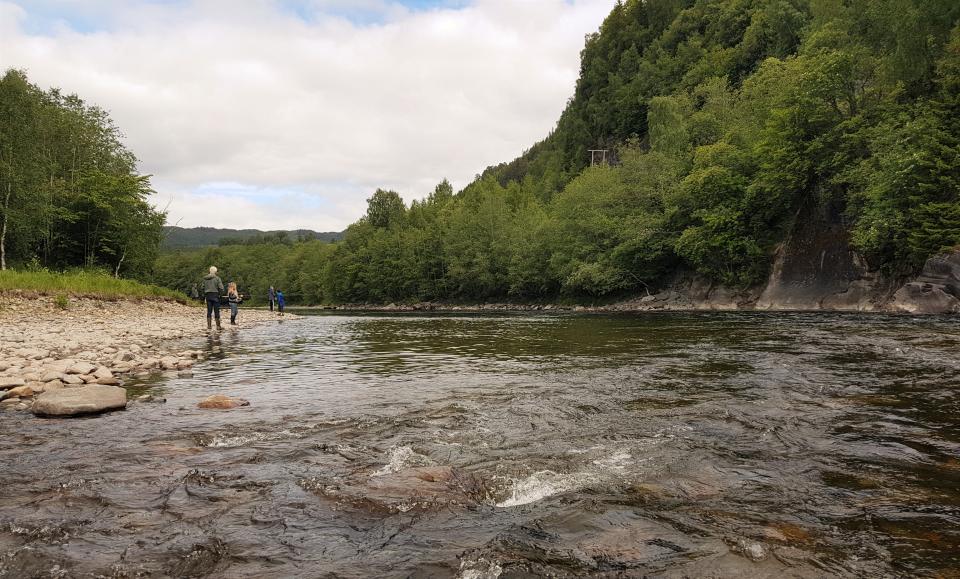 På fisketur i Stjørdalselva